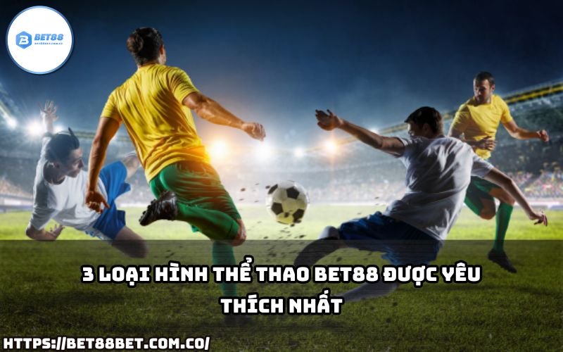 Top 3 loại hình Thể Thao Bet88 được yêu thích nhất, mang đến những giây phút cá cược đầy kịch tính.